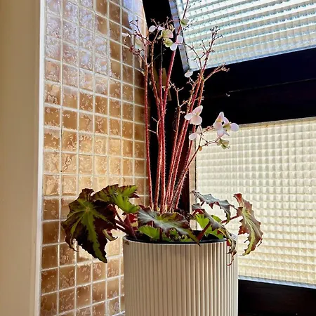 Cobalto 2 Quartos Parque Pet Friendly 아파트 *