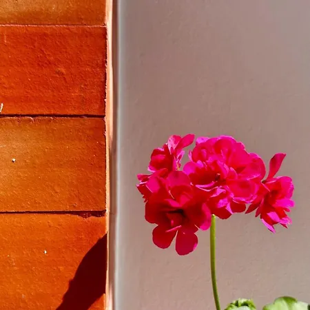 아파트 Cobalto 2 Quartos Parque Pet Friendly *