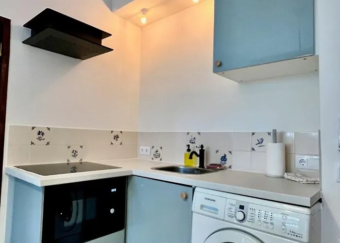 Cobalto 2 Quartos Parque Pet Friendly * Aveiro