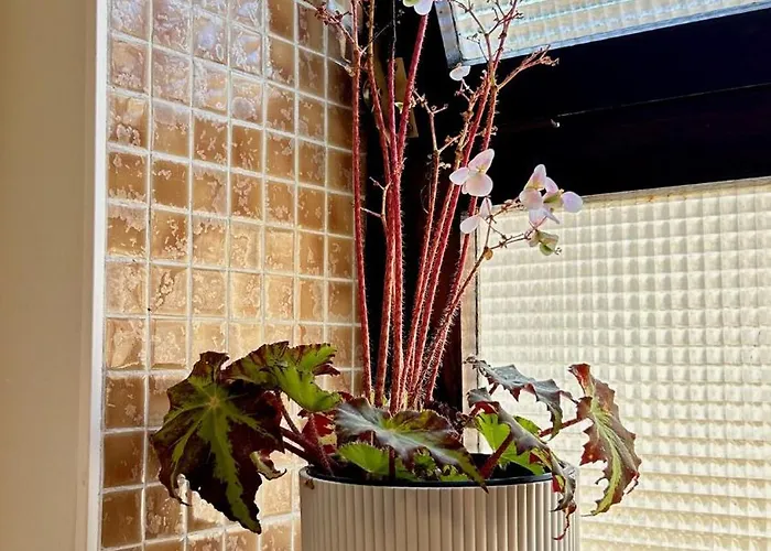 Cobalto 2 Quartos Parque Pet Friendly Apartment *