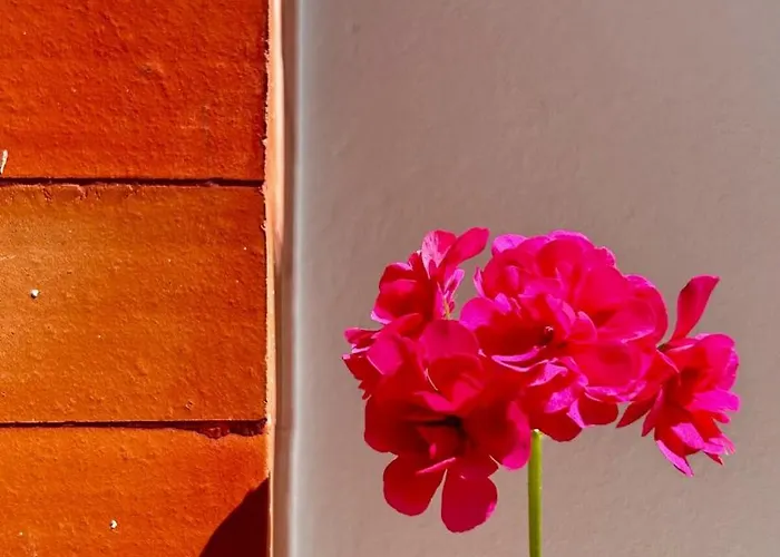 Apartment Cobalto 2 Quartos Parque Pet Friendly *